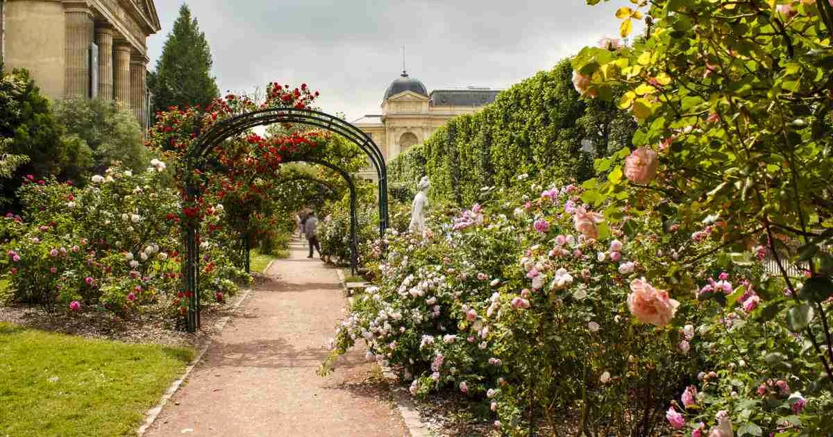 Visit-of-Jardin-des-Plantes-the-Botanical-Garden-of-Paris