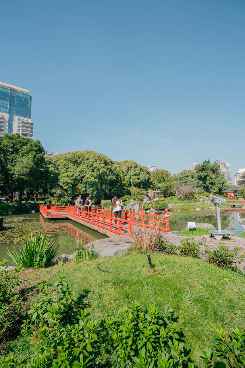 wow-real-estate-jardín botánico5