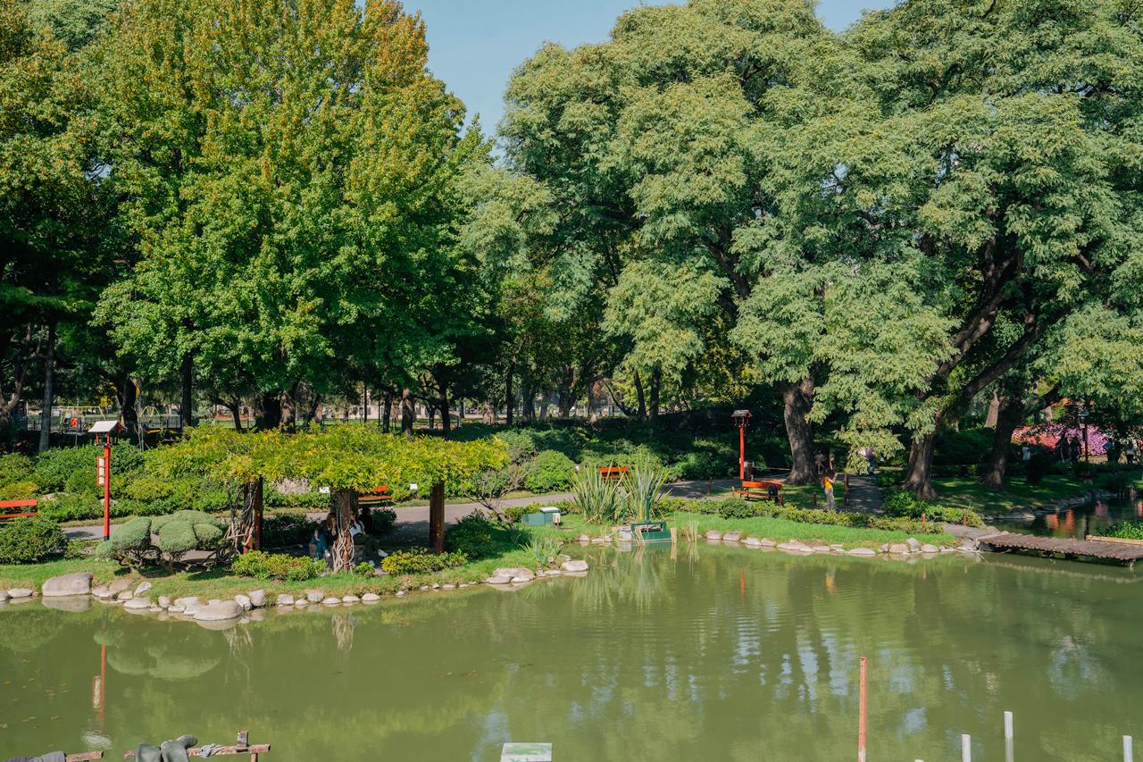 wow-real-estate-jardín botánico4