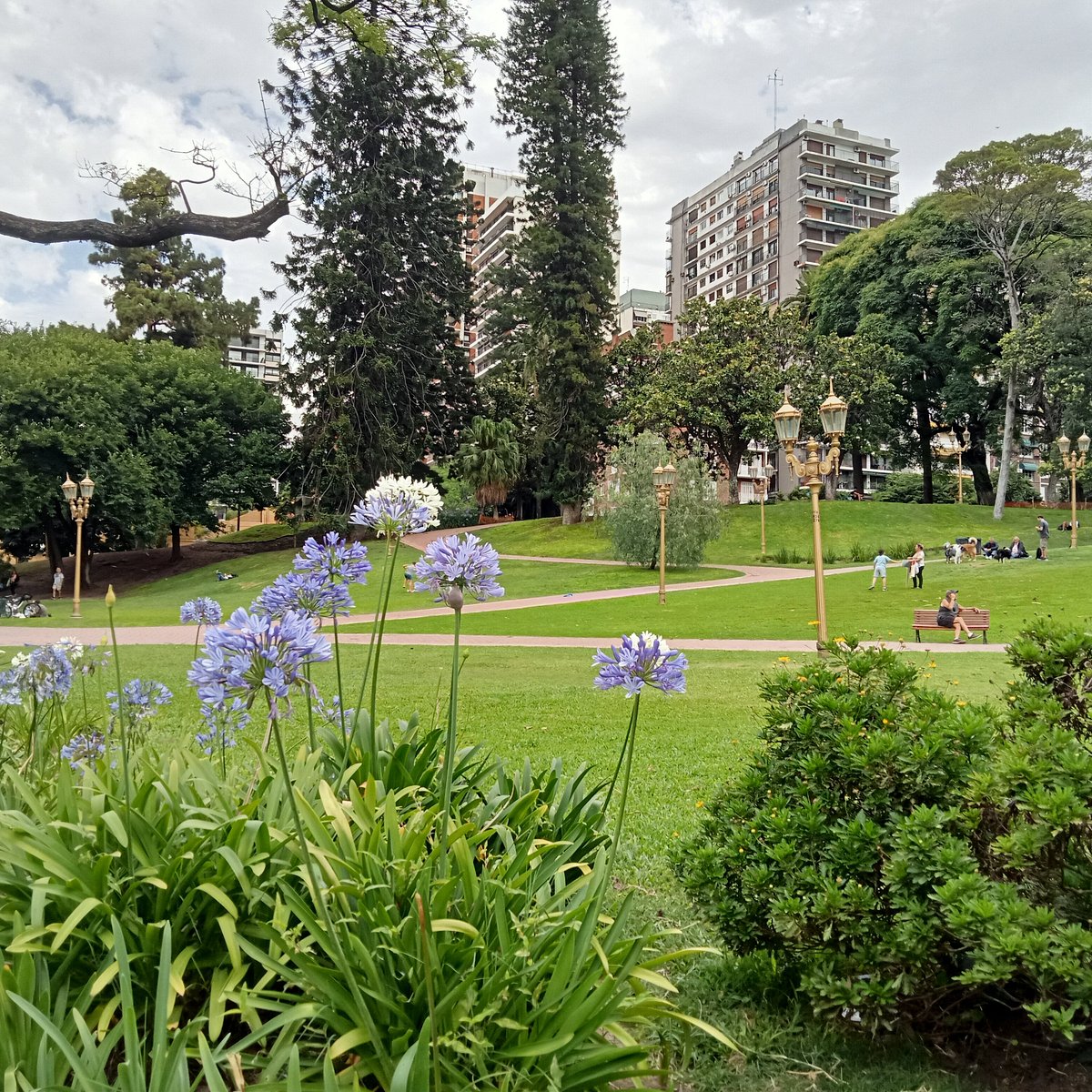 barrancas-de-belgrano