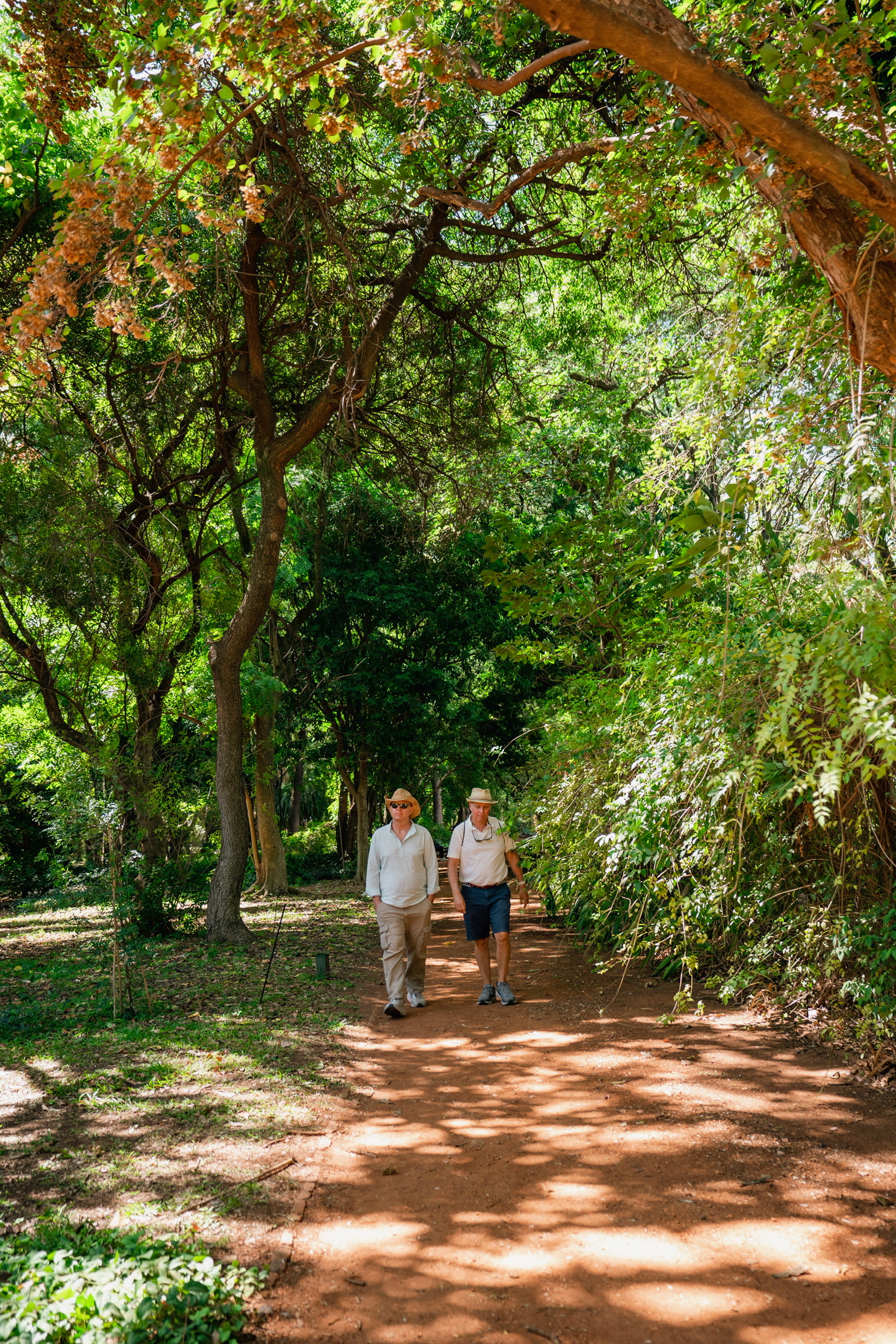 wow-real-estate-jardín botánico 2