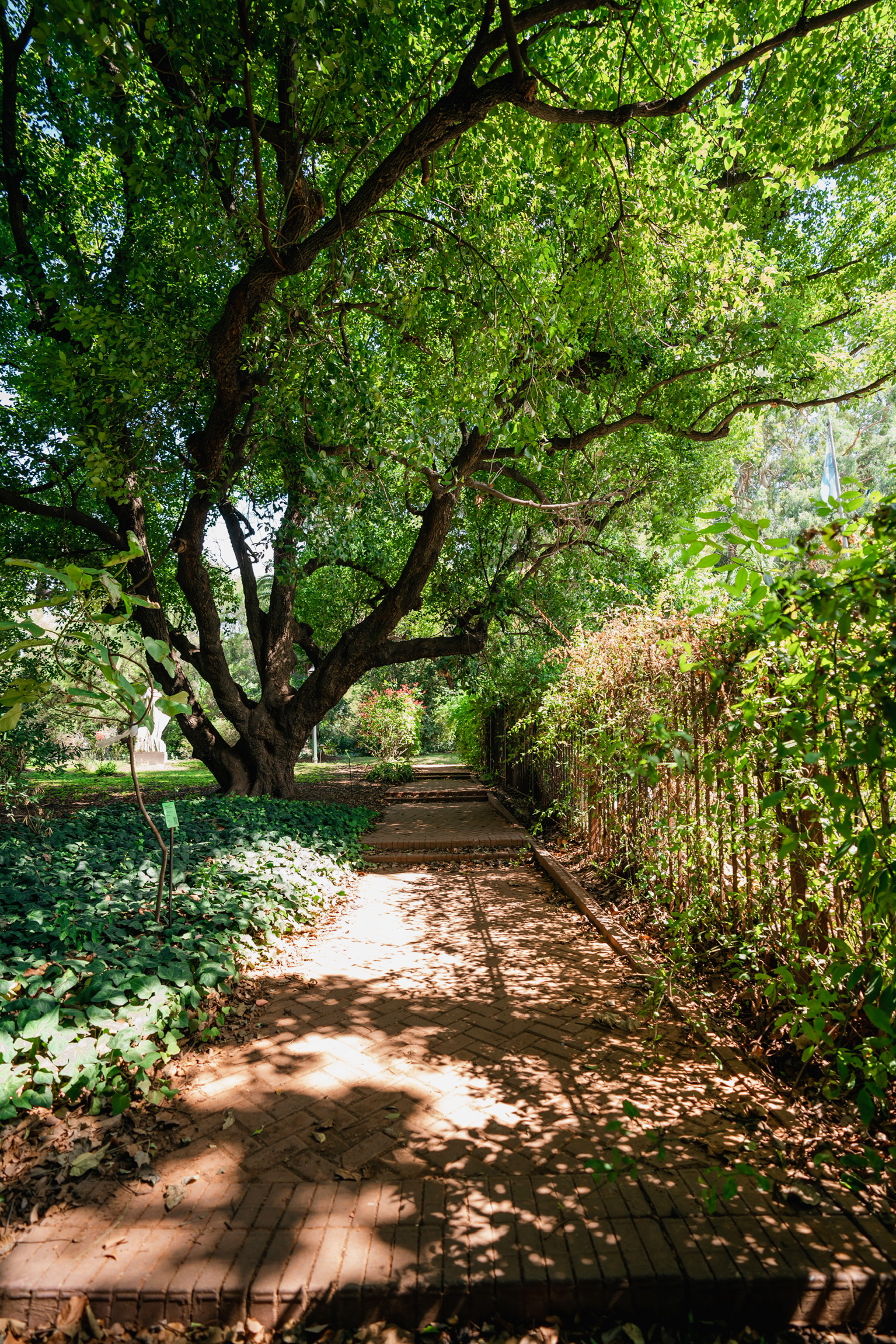 wow-real-estate-jardín botánico 3