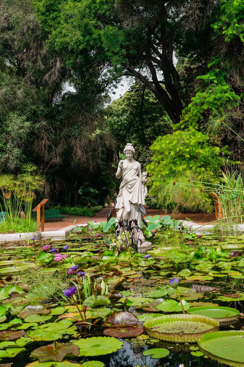 wow-real-estate-jardín botánico 1